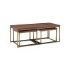 Edith 48 in. L Gold Metal 18.5 in. H Rectangle Wood top Coffee Table with 2-End Tables by Powell Company -Powell Company Shop brown powell company coffee tables hd1795ct21 64 1000