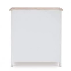 Keyes Distressed Cream 2-Door Cabinet with Fish Accents by Powell Company -Powell Company Shop cream powell company accent cabinets hd1789ca21 66 1000