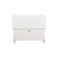Ellsworth White Cedar Chest by Powell Company -Powell Company Shop white powell company accent cabinets hd1043a19 c3 1000